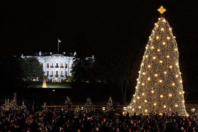 Pageant Closes With Lighting of National Xmas Tree