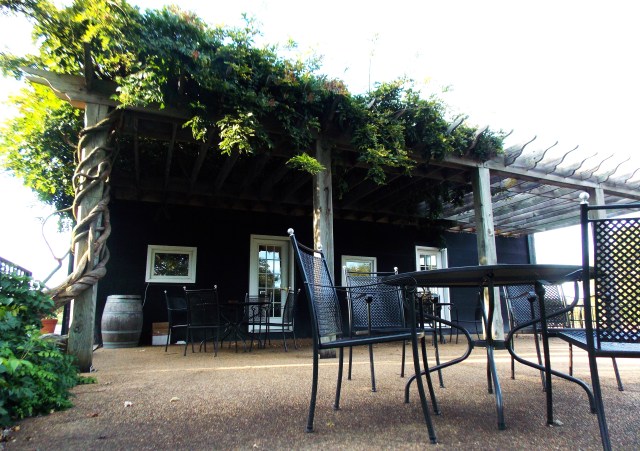 Wine Wednesday: The Last Days of Piedmont Vineyards