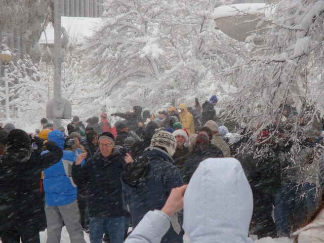 Dupont Circle Snowball Fight
