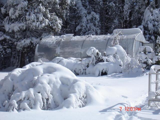 iSee: We Got Snow Pix, Part 4