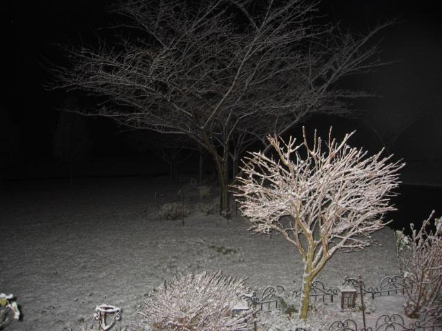 Photo Gallery:  Area Sees First Snow of Season