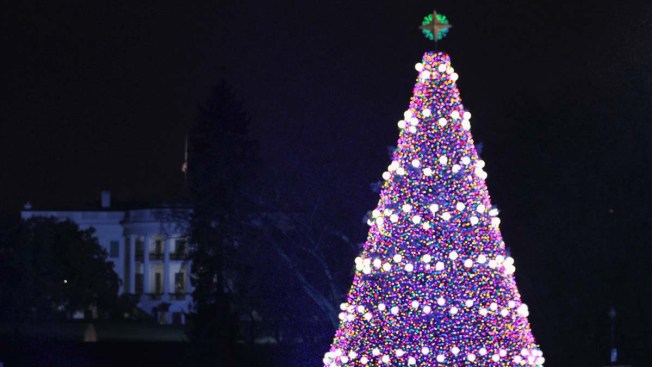 national christmas tree lighting set for dec 4 lottery national christmas tree lighting set for dec 4 lottery