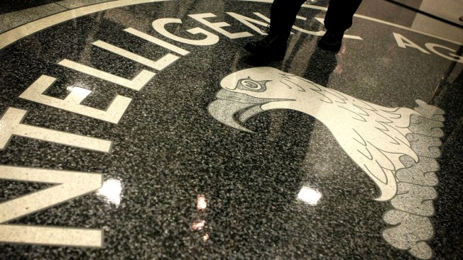 Women Played Major Role in Osama Bin Laden Hunt