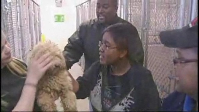 Animal control in <a title=