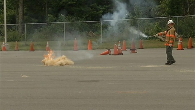 Examples of the explosions that fireworks can make.