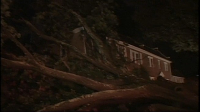Trees fell on a house in the 3900 block of Edmunds Street NW.