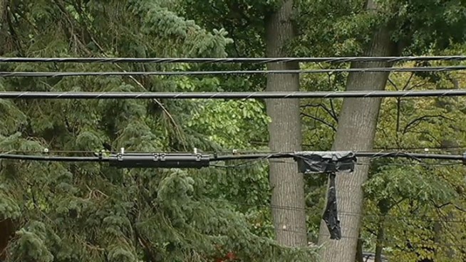 A man was electrocuted Saturday morning while trimming trees near power lines in Takoma Park.  News4's Derrick Ward has more.