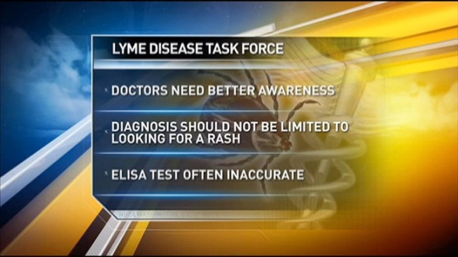 A task force that's been studying a high number of Lyme disease cases in Virginia made recommendations for the public and for doctors on Thursday.
