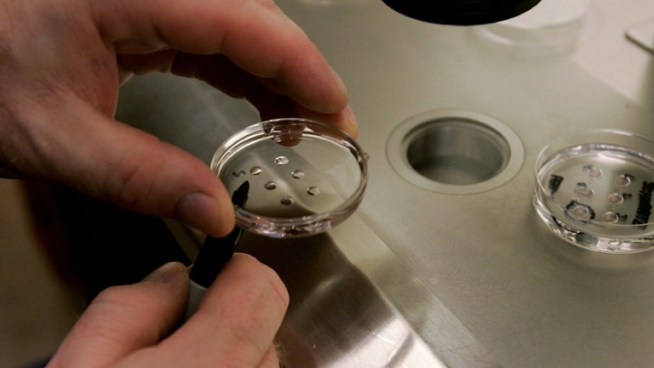 A divorced couple in Maryland is fighting in court over their frozen embryos. 