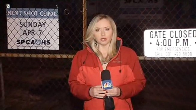 A family pet is struggling to survive serious burns on its back. The owners want answers after they dropped the dog off to be spayed. News4's Darcy Spencer has more on the allegations and the response from a local SPCA clinic.
