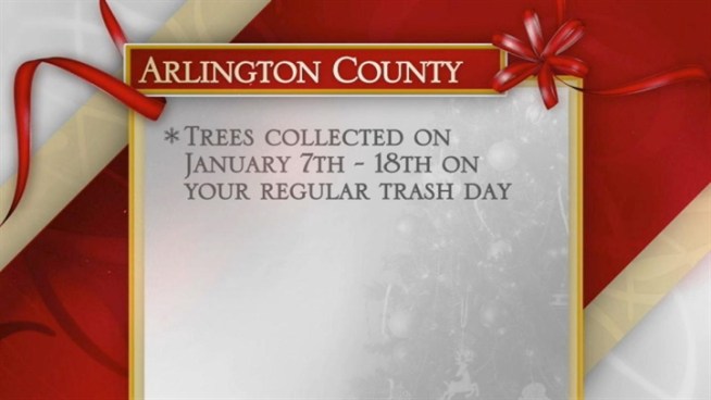 How to get your Christmas tree from your living room to the mulcher (not the landfill).