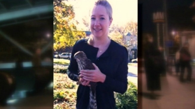 NBC Washington's Jackie Bensen spoke with a veterinarian who just happened to be on a Metro escalator when a hawk got its claws stuck.