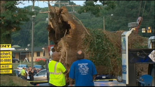 Fairfax County police identified the man killed by a tree on Georgetown Pike as 64-year-old Michael Roeth III.