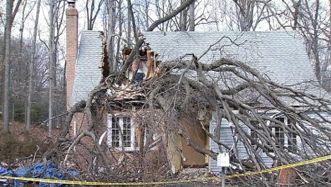 A tree fell on a house Sunday in Burke, Va. leaving a woman trapped for more than an hour. Darcy Spencer reports.