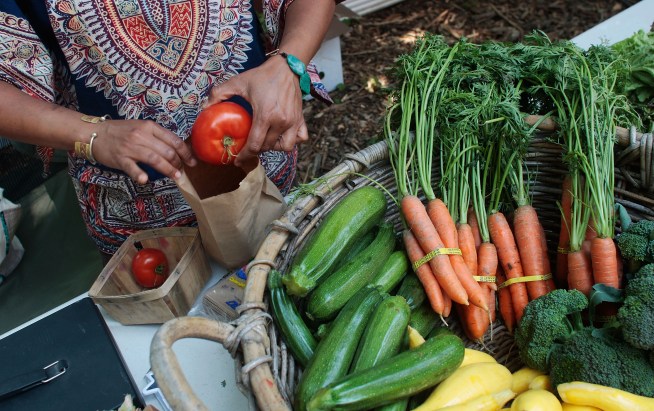 Performance-Enhancing Drugs Just Fine For Zucchini: Study