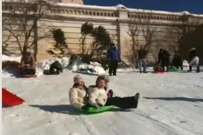 A Capitol Place to Sled