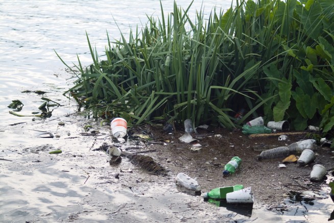 High School Students Clean Park, Find Body