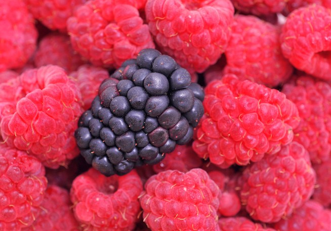 Search VA Farmers' Markets -- Yep, All of Them
