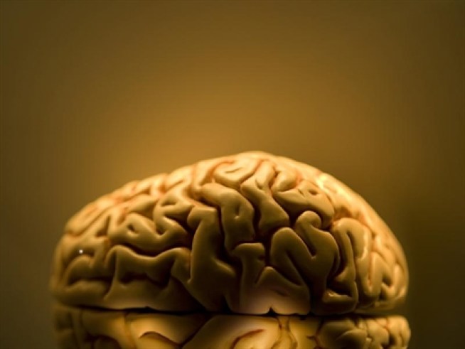 Best Treatment for Parkinson's Disease