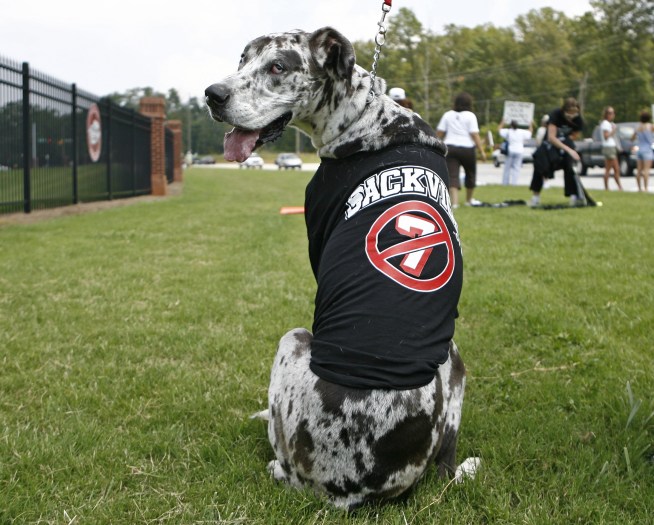 One Skin Pleas For Vick