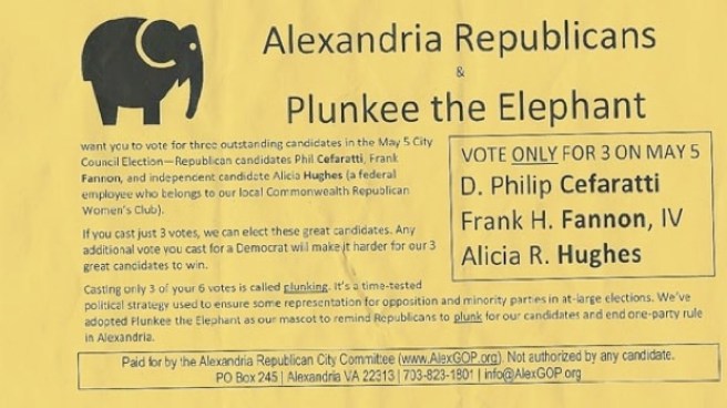 Alexandria Politicians Try to Make Sense of Surprise Election Outcome