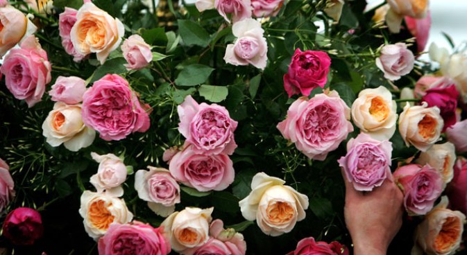 SoCal Mom Gets Flowers, Beating from Deliverymen