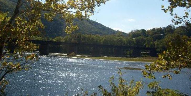 Report: Intersex Fish Warning Sign for Potomac