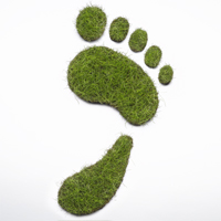 Calculate Your Carbon Footprint