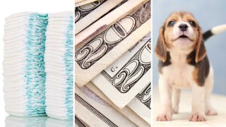 Diapers, cash, puppy
