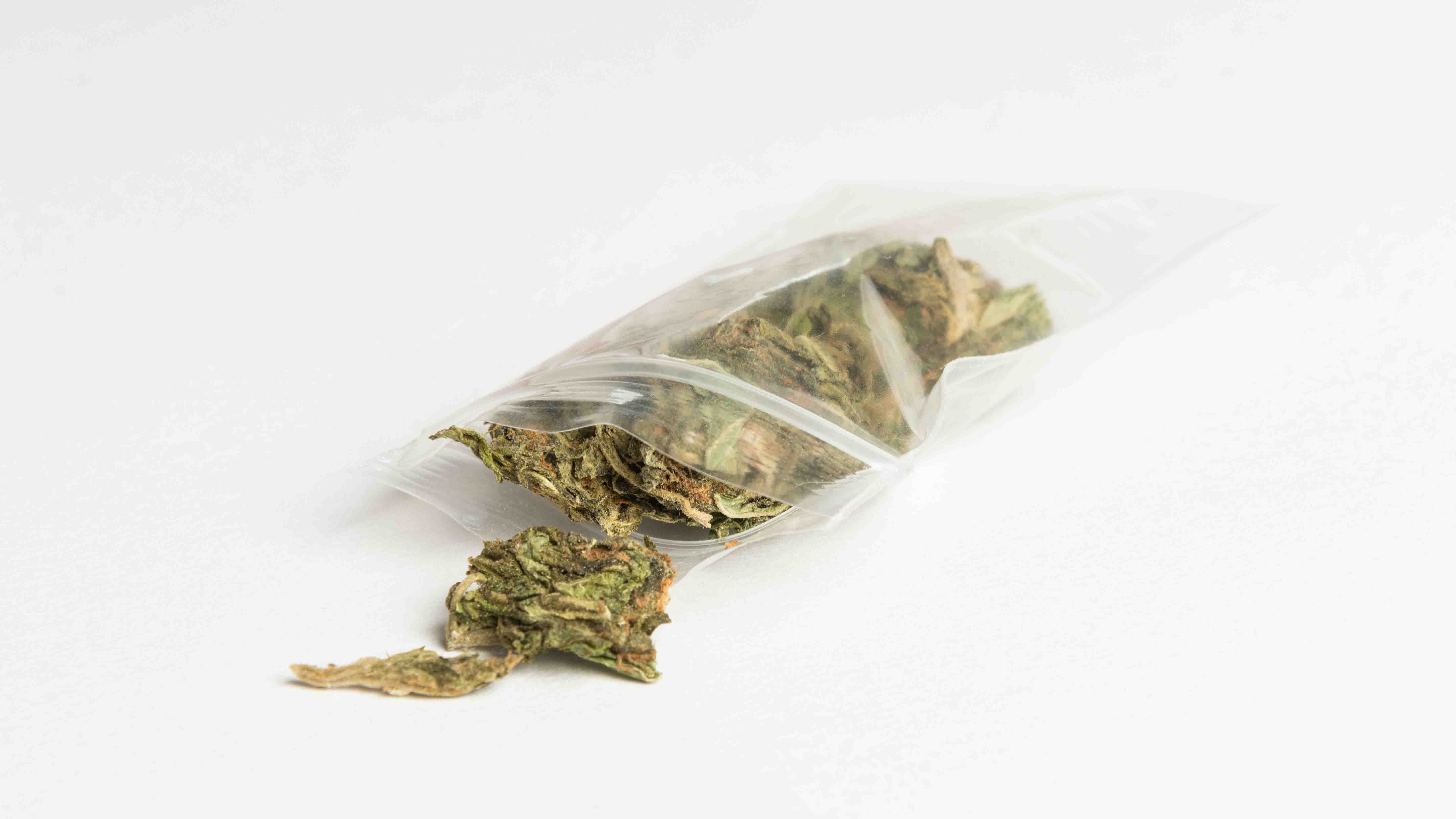 Virginia Lawmakers Vote to Decriminalize Marijuana Possession