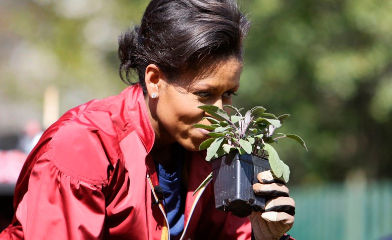 041009 Michelle Obama smell sage