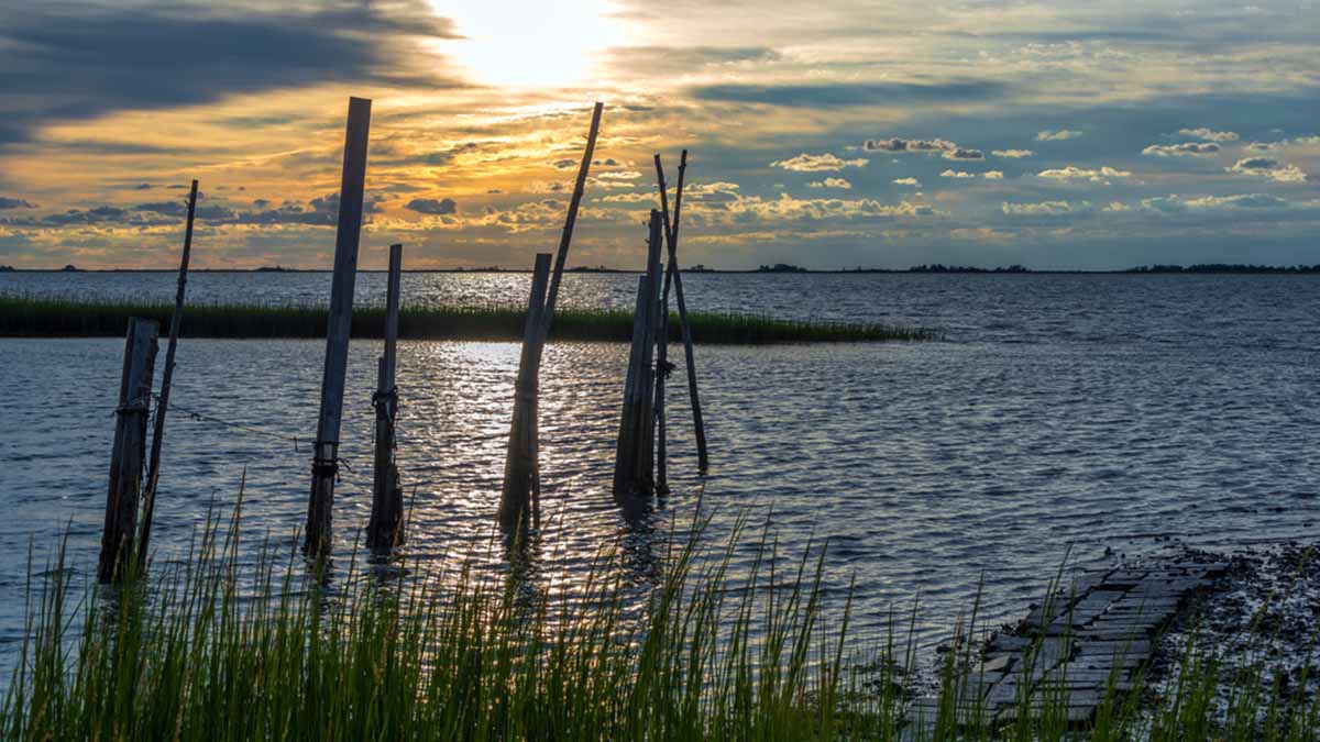 Researchers Predict Smaller ‘Dead Zone’ in Chesapeake Bay NBC4 Washington