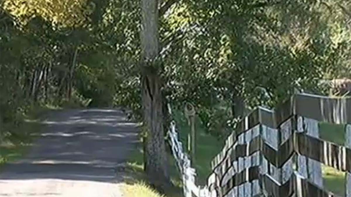 Suspect in Maryland Murder of 18YearOld Mason Atkins Was Seen With