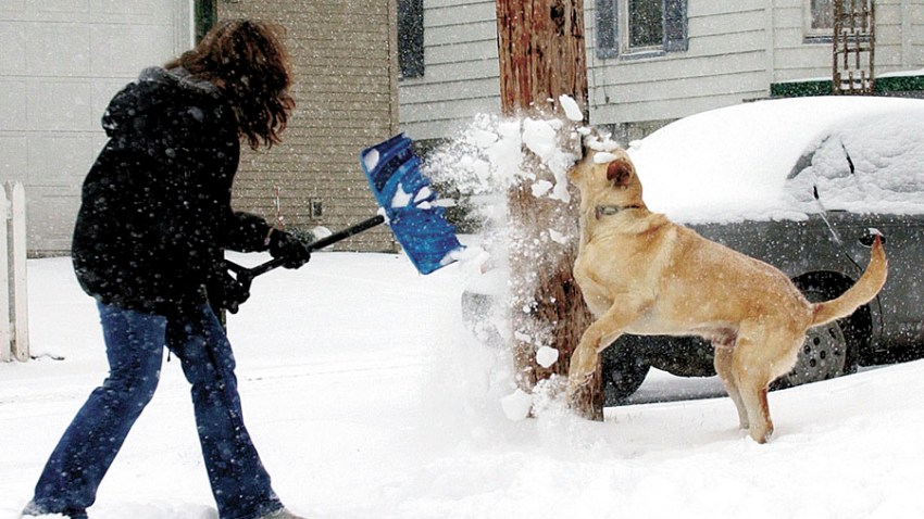 121908 Winter Weather Iowa Snow Shovel