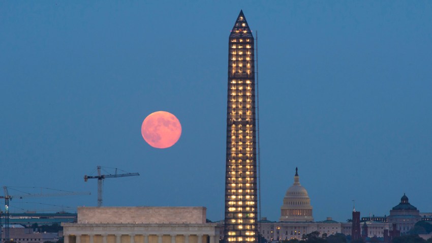 HARVEST MOON