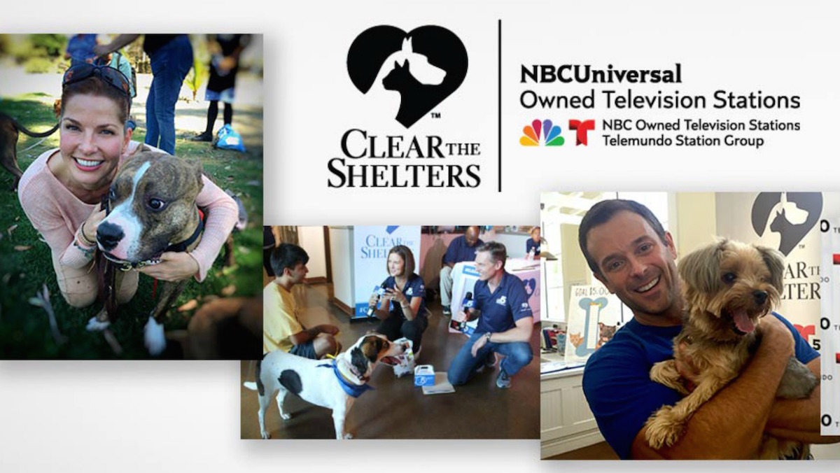 Let’s ‘Clear the Shelters’ on Saturday, August 19!