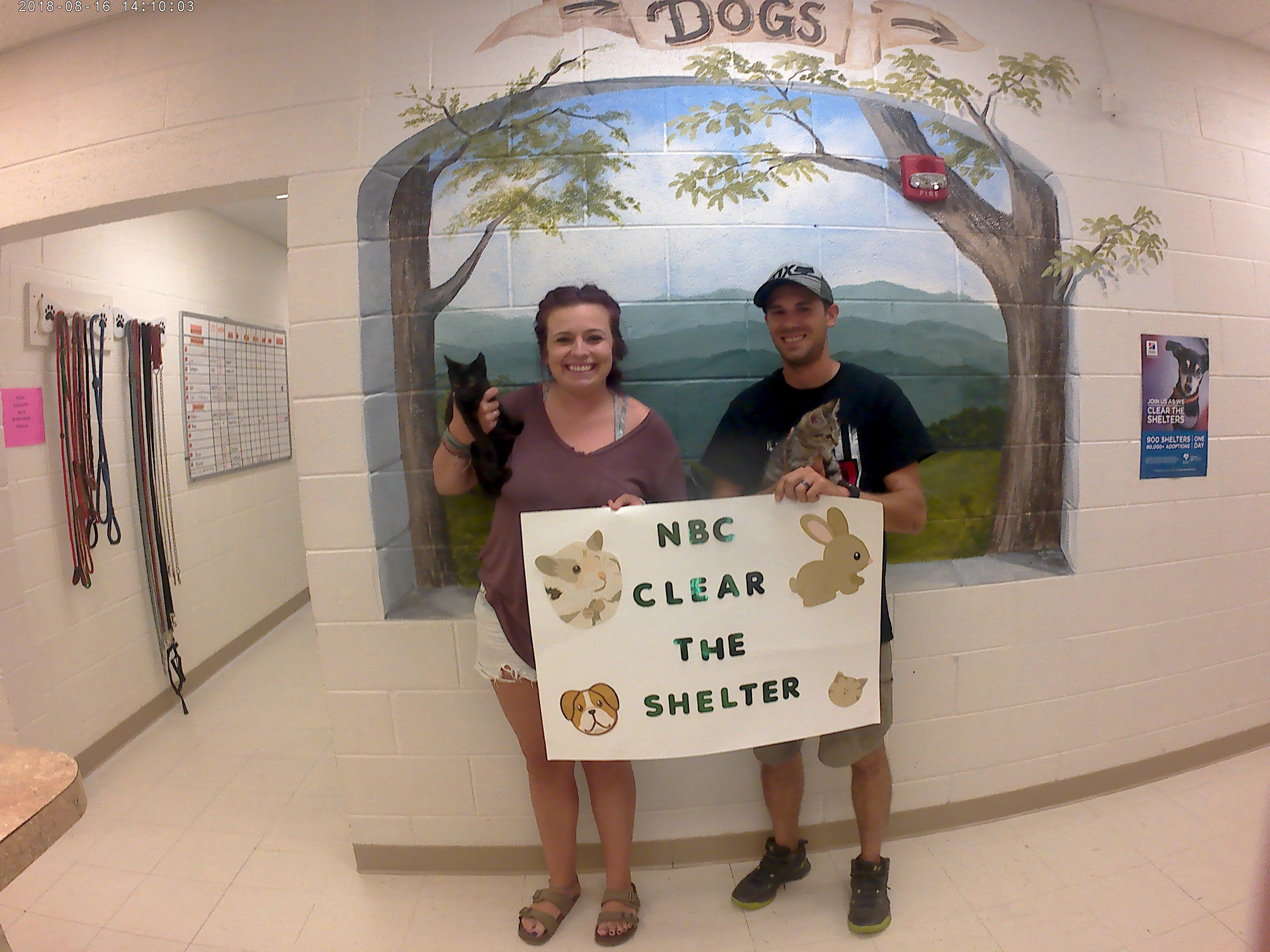 Photos Shelter Pets Get Forever Homes on Clear the Shelters Day NBC4