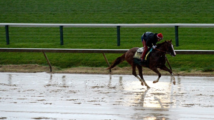 490683963PS_Preakness_Workouts_Day_2