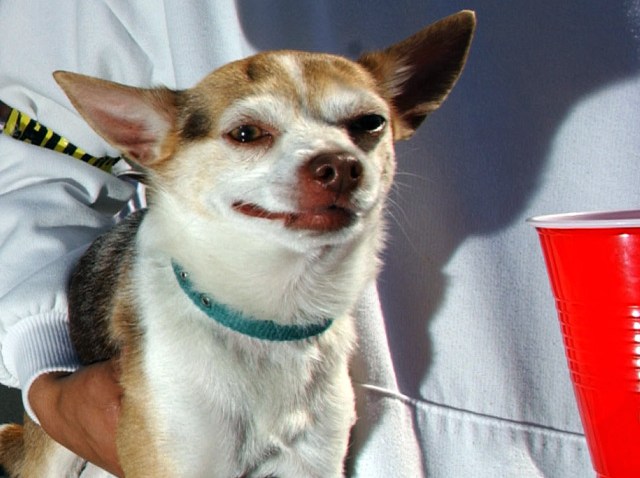 WCAU_000000015371738_1200x675_689146435551.jpg