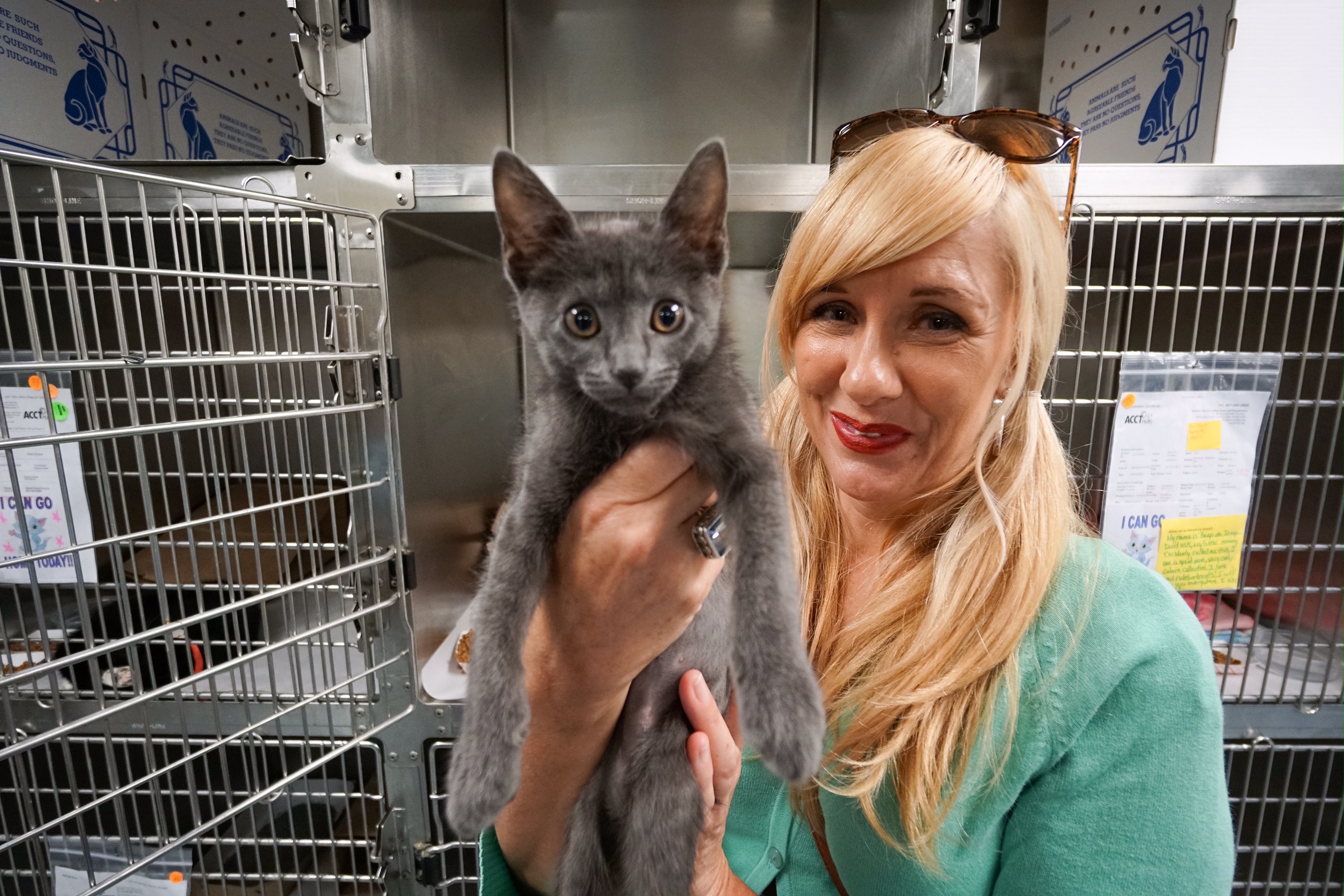Your Photos: Pets Adopted Around the Country During Clear the Shelters – NBC4 Washington Your Photos: Pets Adopted Around the Country During Clear the Shelters – NBC4 Washington