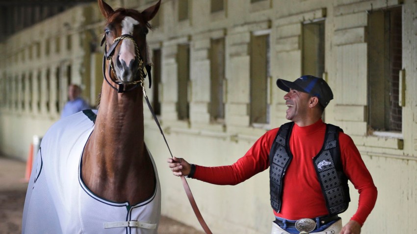 Belmont California Chrome
