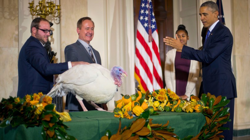 Obama Turkey Pardon
