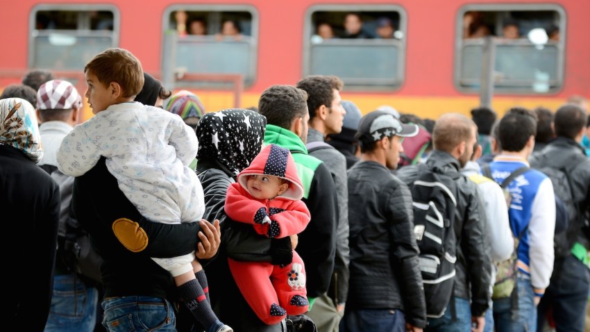 Migration Photo Gallery