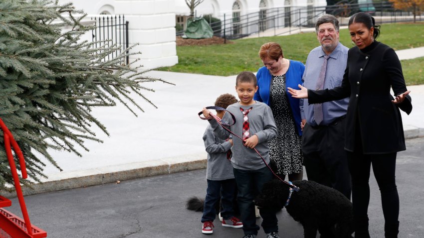 White House Christmas Tree
