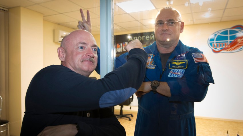 Year in Space