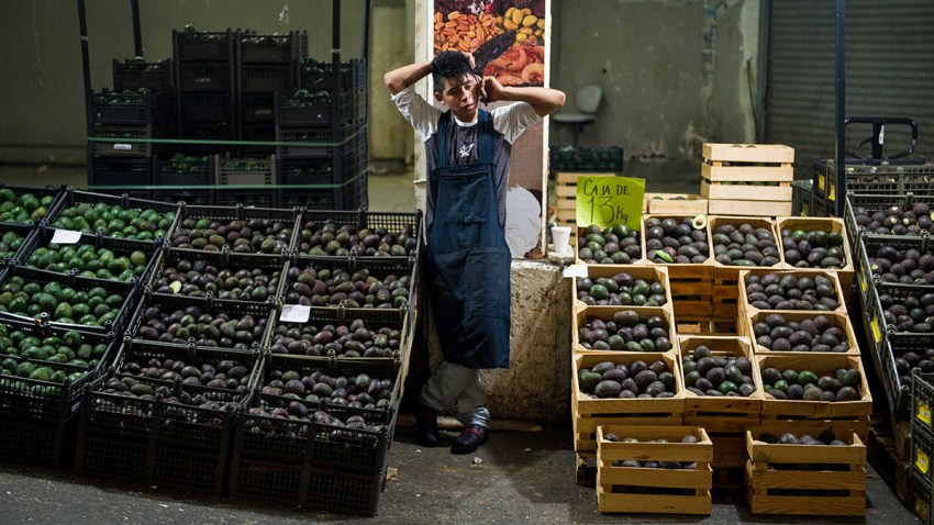 Mexico Tariffs Avocado