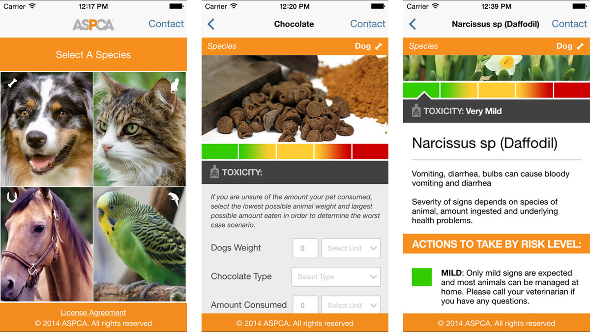 6 Free MustHave Apps for Pet Owners NBC4 Washington