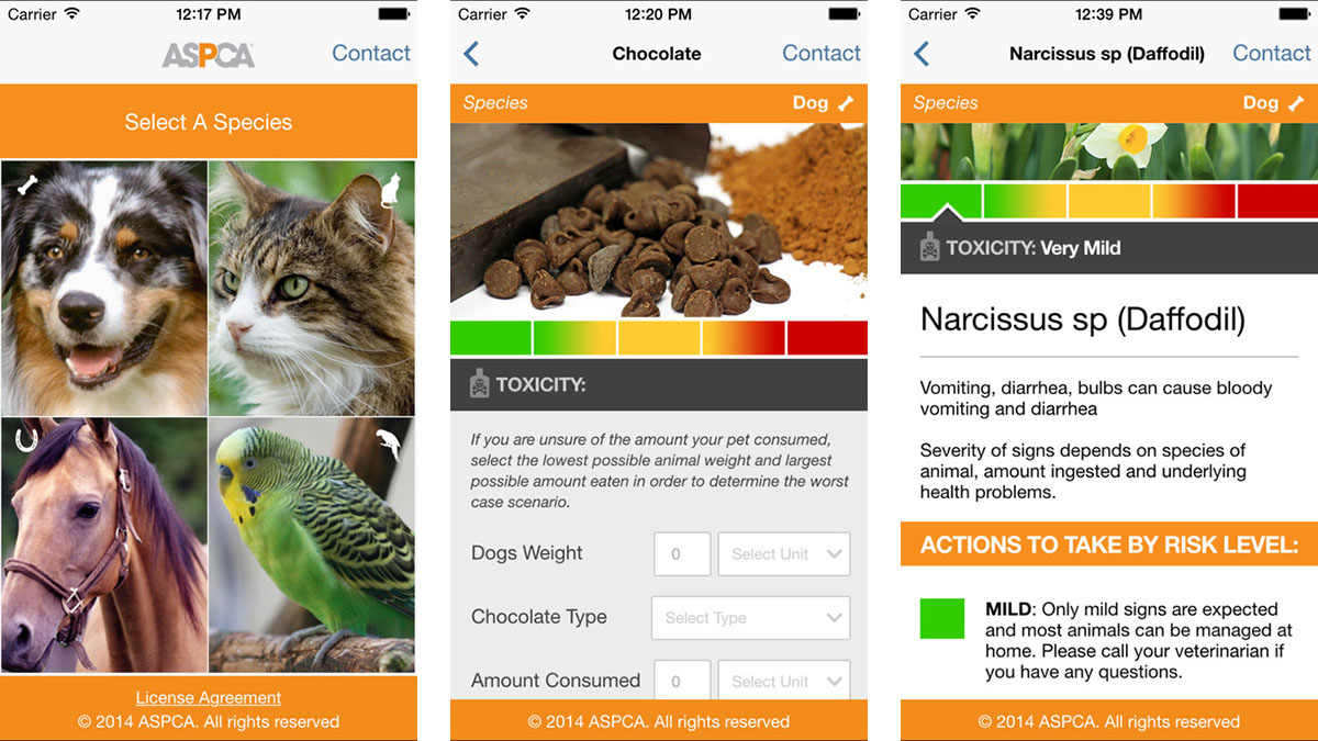 Apps for Dog Parents: 6 Must-Have Downloads to Make Pet Life Easier - gmedia