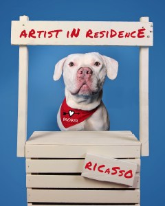 Ricasso of the Animal Welfare League of Alexandria