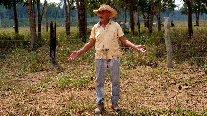 Brazil Amazon Fires
